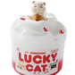 Lucky Cat